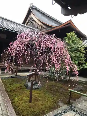 観智院(東寺子院)の本殿・本堂