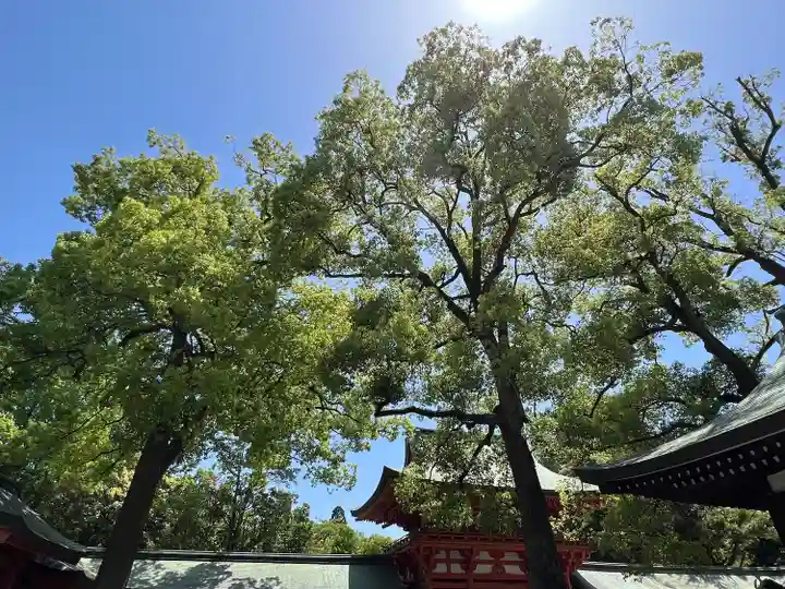 武蔵一宮氷川神社(埼玉県)