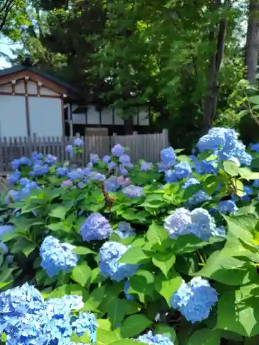 旭川神社の自然