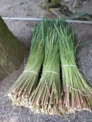 天鷹神社(岐阜県)