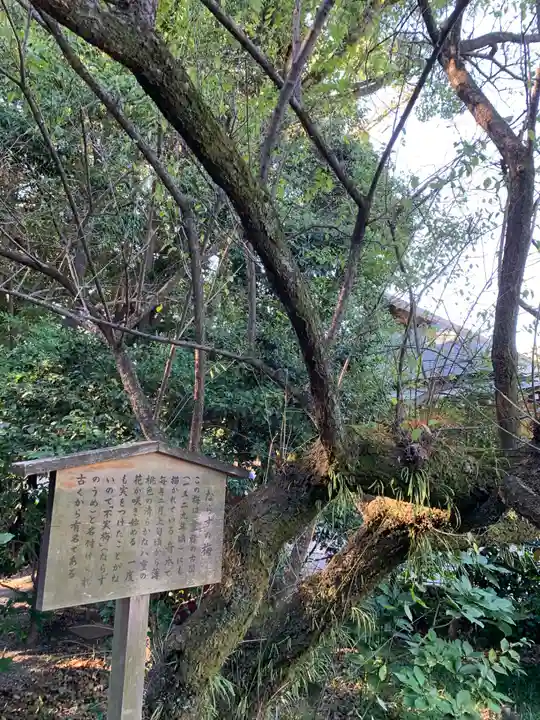 熱田神宮(愛知県)