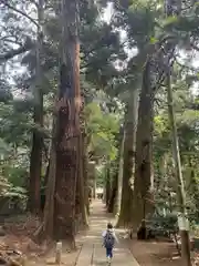 日吉神社(千葉県)