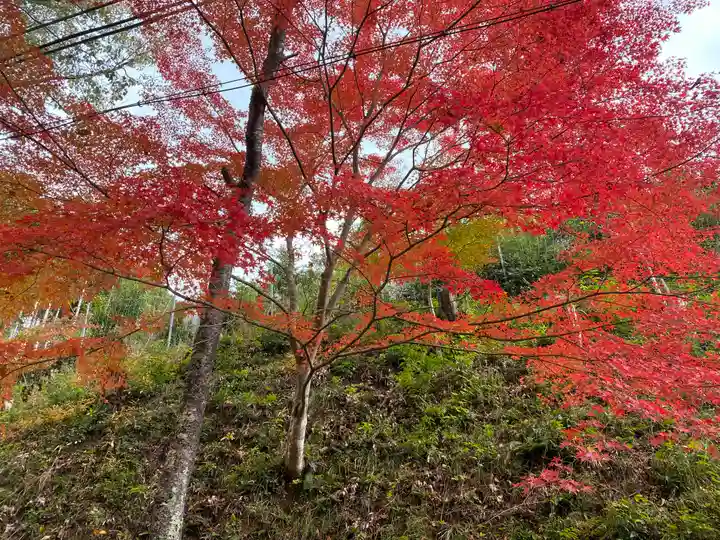高蔵寺(兵庫県)