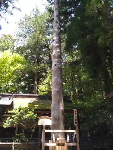 諏訪大社下社春宮のその他建物