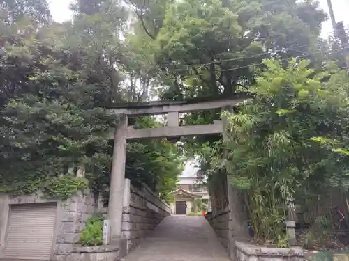 玉川神社の鳥居