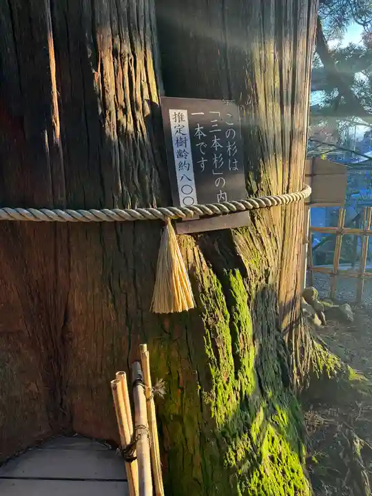 戸隠神社中社(長野県)