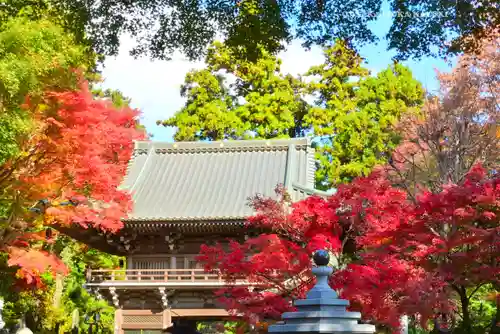 高尾山薬王院(東京都)