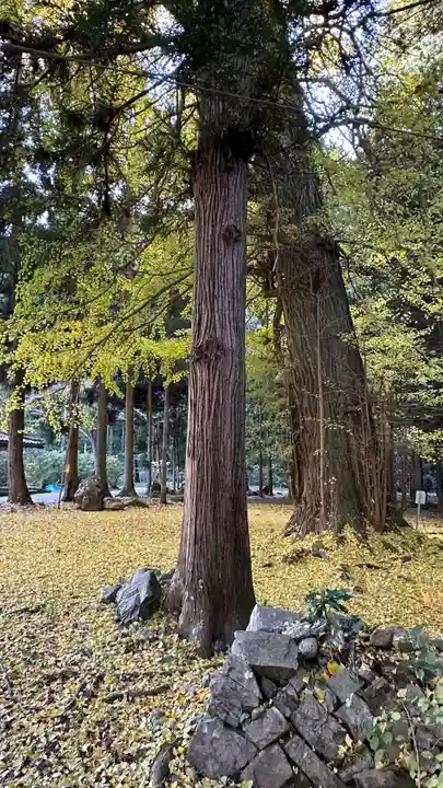 柳津虚空蔵尊 寳性院(宮城県)