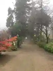 千代ケ岡八幡宮(栃木県)