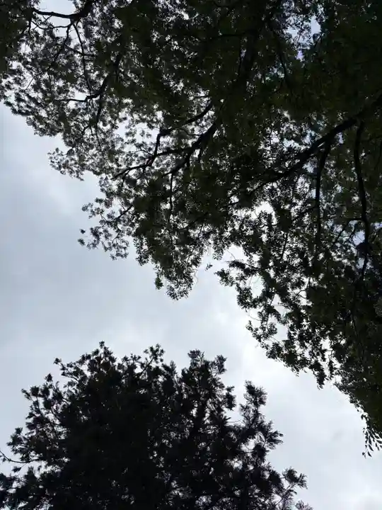 丹生川上神社(下社)(奈良県)