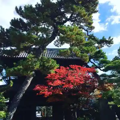 泉岳寺の建物その他