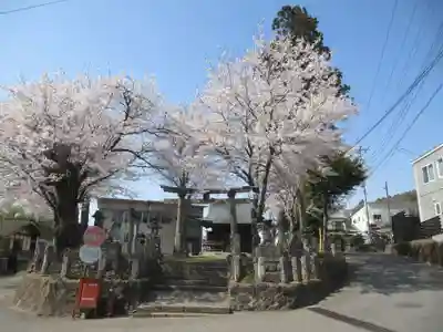 川額八幡宮(群馬県)