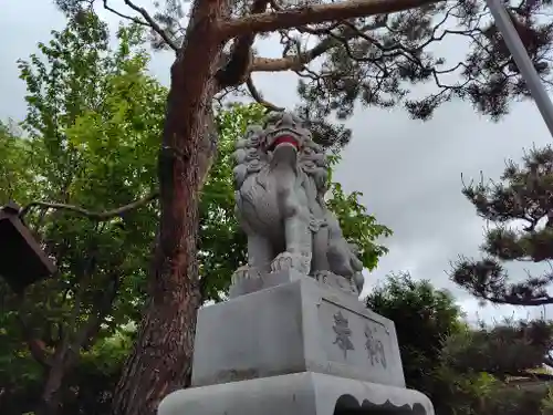 北見神社の狛犬