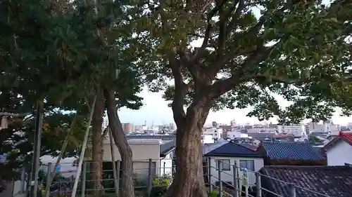 住吉神社の自然