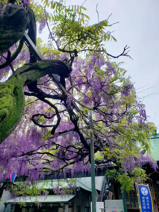 國領神社(東京都)