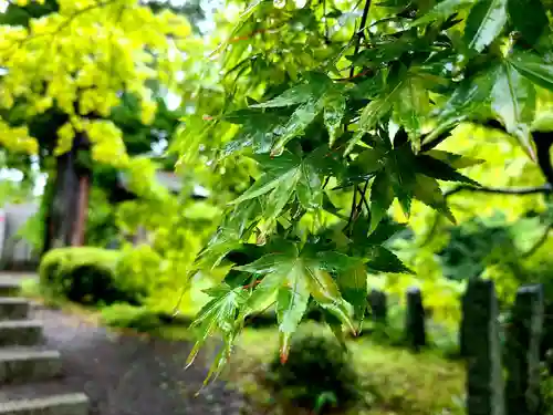 普門院（文知摺観音 安洞院）の庭園