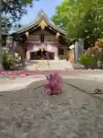 彌彦神社 (伊夜日子神社)の自然