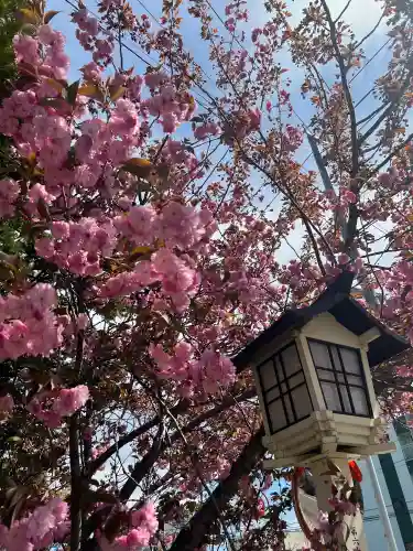 新琴似神社の{uncategorized: "未分類", other: "その他", undefined: "問題あり", building: "その他建物", grave: "お墓", sacred_gate: "鳥居", guardian: "狛犬", statue: "像", buddha: "仏像", history: "歴史", nature: "自然", garden: "庭園", animal: "動物", pagoda: "塔", temizu: "手水舎", mountain_gate: "山門・神門", sanctuary: "本殿・本堂", subordinate: "末社・摂社", art: "芸術", scenery: "景色", jizo: "地蔵", ema: "絵馬", goshuin: "御朱印", omikuji: "おみくじ", items: "授与品その他", amulet: "お守り", goshuincho: "御朱印帳", eats: "食事", festival: "お祭り", votive_dance: "神楽", shichigosan: "七五三参", wedding: "結婚式", experience: "体験その他", initially: "初詣", around: "周辺", anti_infection: "感染症対策"}
