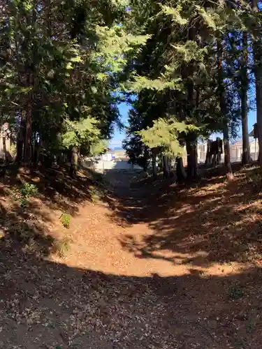 浅沼八幡宮(栃木県)