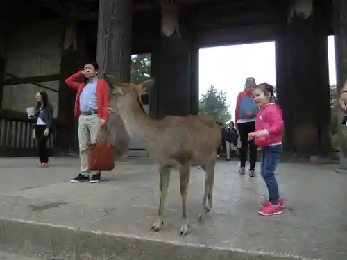 東大寺(奈良県)