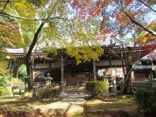 勝持寺（花の寺）の本殿・本堂