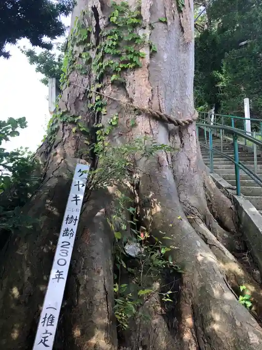 薬師神社(青森県)