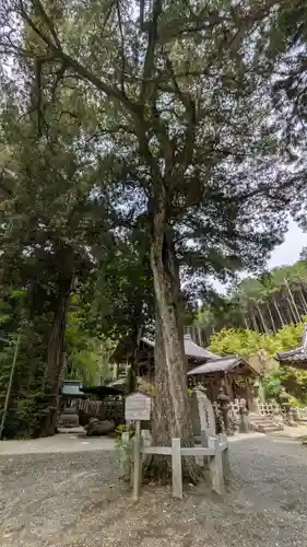 愛宕神社（阿多古神社）(京都府)