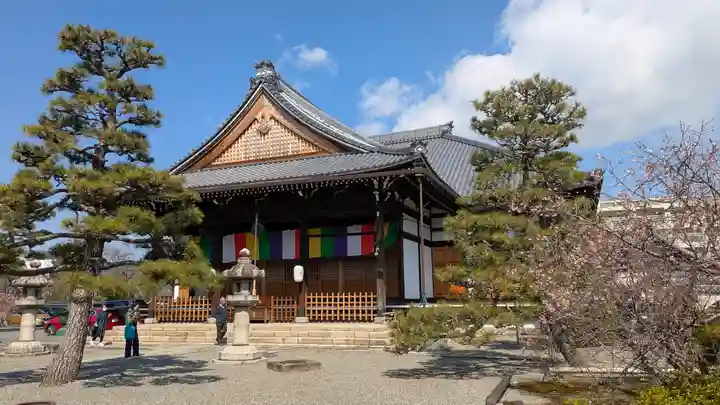 妙蓮寺(京都府)