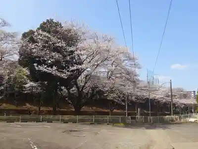 妙櫻寺(東京都)