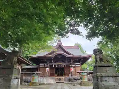 滝野川八幡神社の本殿・本堂