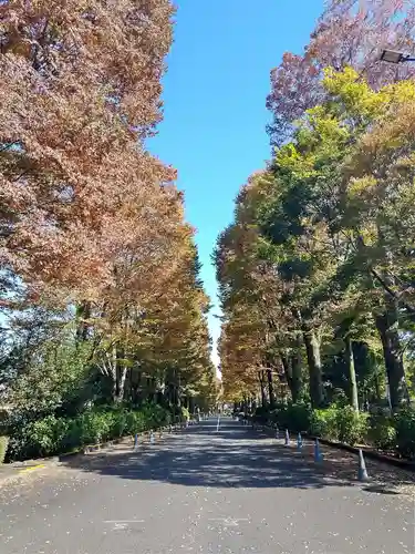 大正天皇多摩陵の周辺