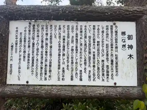 八幡宮の{uncategorized: "未分類", other: "その他", undefined: "問題あり", building: "その他建物", grave: "お墓", sacred_gate: "鳥居", guardian: "狛犬", statue: "像", buddha: "仏像", history: "歴史", nature: "自然", garden: "庭園", animal: "動物", pagoda: "塔", temizu: "手水舎", mountain_gate: "山門・神門", sanctuary: "本殿・本堂", subordinate: "末社・摂社", art: "芸術", scenery: "景色", jizo: "地蔵", ema: "絵馬", goshuin: "御朱印", omikuji: "おみくじ", items: "授与品その他", amulet: "お守り", goshuincho: "御朱印帳", eats: "食事", festival: "お祭り", votive_dance: "神楽", shichigosan: "七五三参", wedding: "結婚式", experience: "体験その他", initially: "初詣", around: "周辺", anti_infection: "感染症対策"}