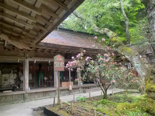 吉野水分神社（吉野町）の{uncategorized: "未分類", other: "その他", undefined: "問題あり", building: "その他建物", grave: "お墓", sacred_gate: "鳥居", guardian: "狛犬", statue: "像", buddha: "仏像", history: "歴史", nature: "自然", garden: "庭園", animal: "動物", pagoda: "塔", temizu: "手水舎", mountain_gate: "山門・神門", sanctuary: "本殿・本堂", subordinate: "末社・摂社", art: "芸術", scenery: "景色", jizo: "地蔵", ema: "絵馬", goshuin: "御朱印", omikuji: "おみくじ", items: "授与品その他", amulet: "お守り", goshuincho: "御朱印帳", eats: "食事", festival: "お祭り", votive_dance: "神楽", shichigosan: "七五三参", wedding: "結婚式", experience: "体験その他", initially: "初詣", around: "周辺", anti_infection: "感染症対策"}