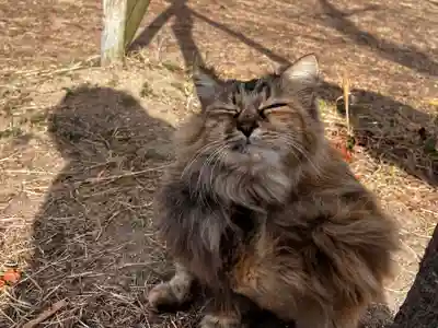 千光寺(広島県)