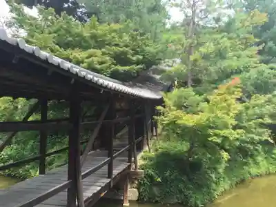 高台寺（高台寿聖禅寺・高臺寺）のその他建物