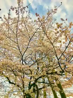神谷稲荷神社の自然