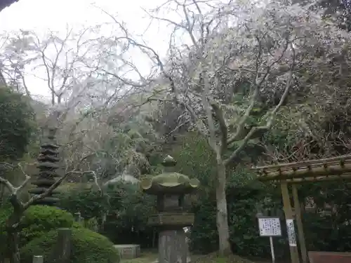 安國論寺（安国論寺）の庭園