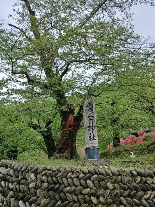 建勲神社の{uncategorized: "未分類", other: "その他", undefined: "問題あり", building: "その他建物", grave: "お墓", sacred_gate: "鳥居", guardian: "狛犬", statue: "像", buddha: "仏像", history: "歴史", nature: "自然", garden: "庭園", animal: "動物", pagoda: "塔", temizu: "手水舎", mountain_gate: "山門・神門", sanctuary: "本殿・本堂", subordinate: "末社・摂社", art: "芸術", scenery: "景色", jizo: "地蔵", ema: "絵馬", goshuin: "御朱印", omikuji: "おみくじ", items: "授与品その他", amulet: "お守り", goshuincho: "御朱印帳", eats: "食事", festival: "お祭り", votive_dance: "神楽", shichigosan: "七五三参", wedding: "結婚式", experience: "体験その他", initially: "初詣", around: "周辺", anti_infection: "感染症対策"}