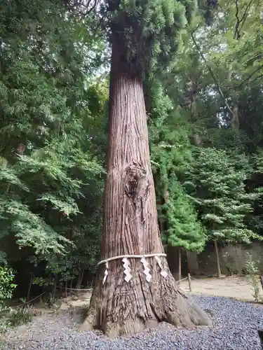 鹿嶋神社(福島県)