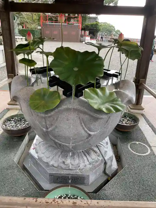 金剛宝寺(紀三井寺)(和歌山県)