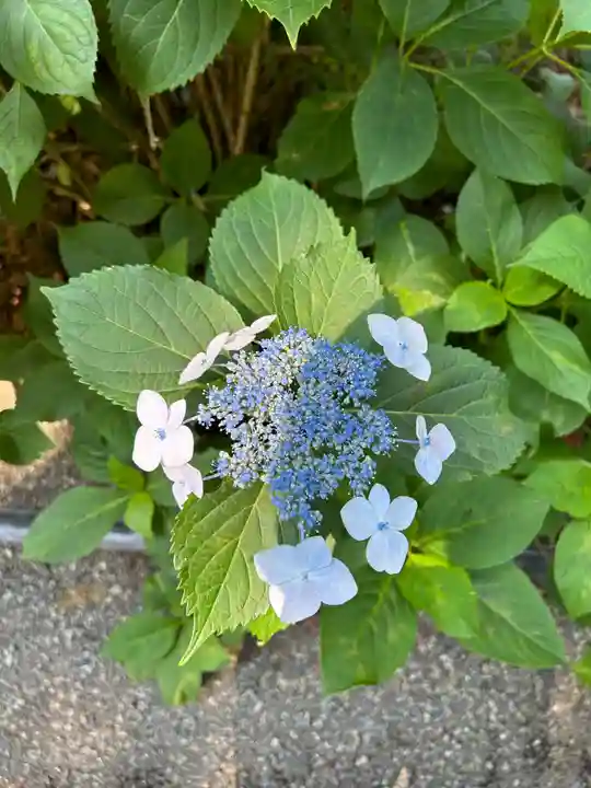 磯山神社(栃木県)