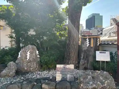 神田神社（神田明神）の景色