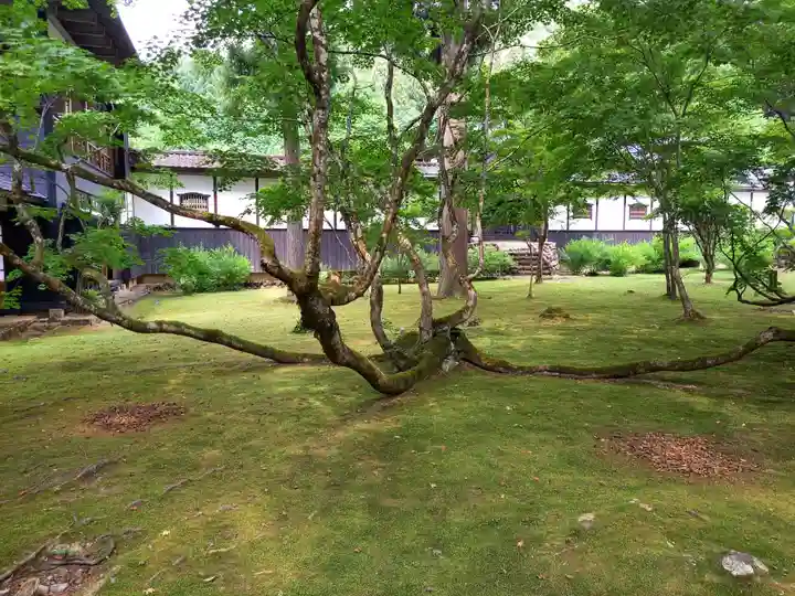 雲洞庵(新潟県)