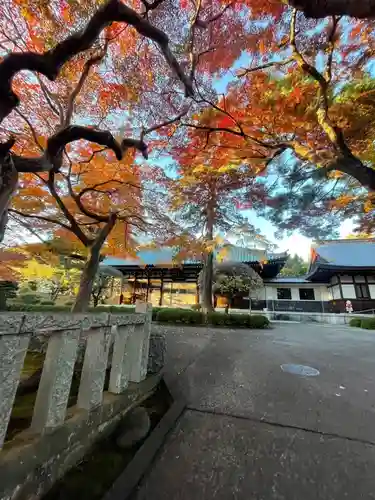 三寳寺(東京都)