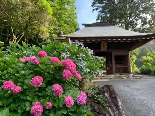 普門寺(切り絵御朱印発祥の寺)のその他建物