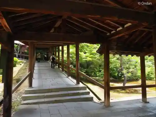 東福禅寺（東福寺）(京都府)
