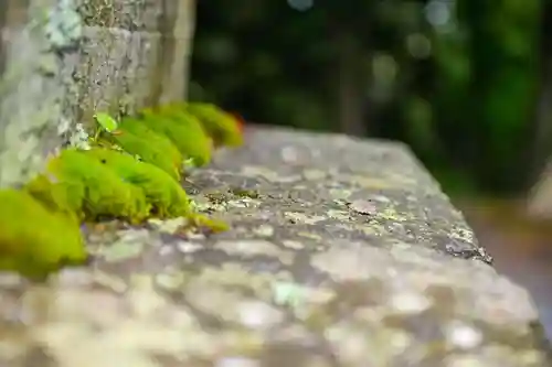 尻岸内八幡神社の自然