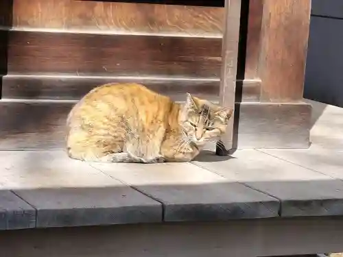 秋葉神社の{uncategorized: "未分類", other: "その他", undefined: "問題あり", building: "その他建物", grave: "お墓", sacred_gate: "鳥居", guardian: "狛犬", statue: "像", buddha: "仏像", history: "歴史", nature: "自然", garden: "庭園", animal: "動物", pagoda: "塔", temizu: "手水舎", mountain_gate: "山門・神門", sanctuary: "本殿・本堂", subordinate: "末社・摂社", art: "芸術", scenery: "景色", jizo: "地蔵", ema: "絵馬", goshuin: "御朱印", omikuji: "おみくじ", items: "授与品その他", amulet: "お守り", goshuincho: "御朱印帳", eats: "食事", festival: "お祭り", votive_dance: "神楽", shichigosan: "七五三参", wedding: "結婚式", experience: "体験その他", initially: "初詣", around: "周辺", anti_infection: "感染症対策"}