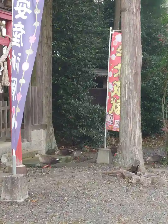 三光稲荷神社(福島県)