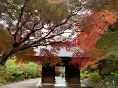 普門寺(切り絵御朱印発祥の寺)の山門